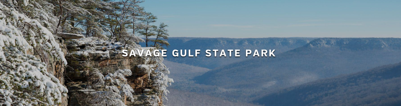 SG%20Winter%20banner.png
