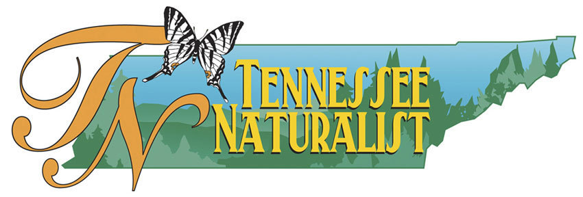 TN%20Naturalist.jpg
